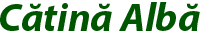 catina.com.ro