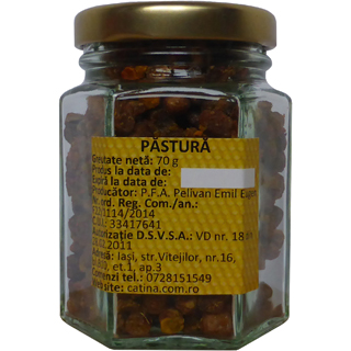 Păstură